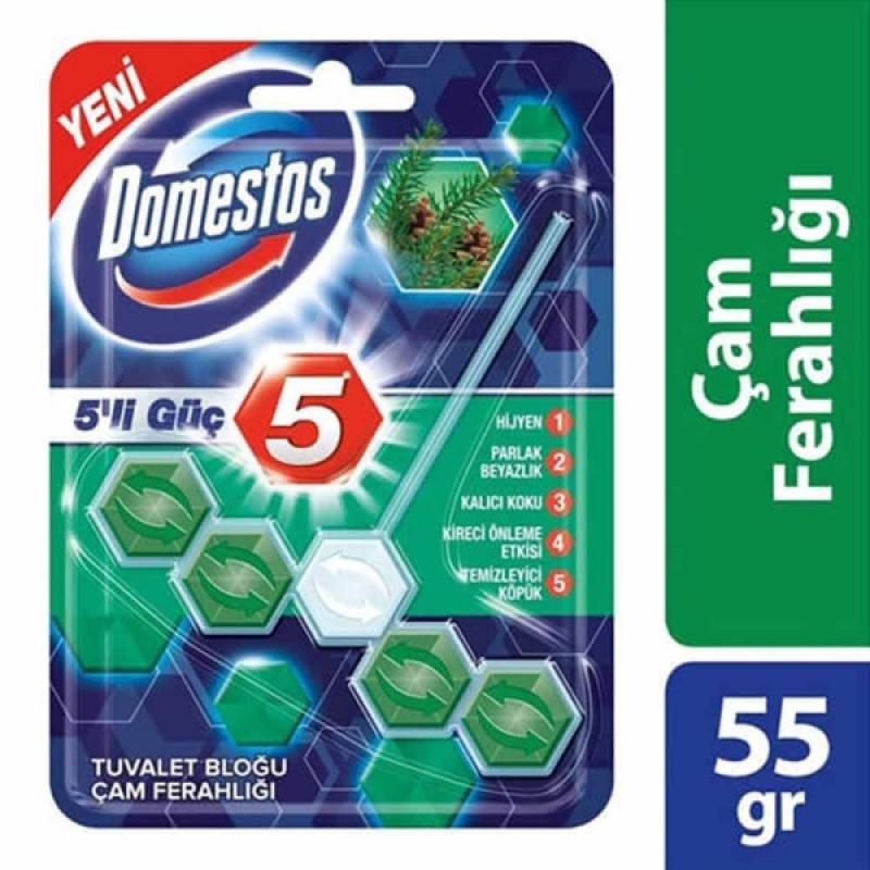 Domestos Klozet Blok 5 Li Top Çam Ferahlığı 55 Gr