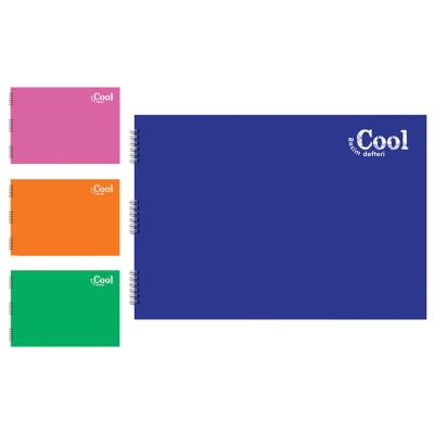 Keskin Color Cool 35 x 50 Cm Resim Defteri Spiralli Plastik Kapak 15 Yaprak
