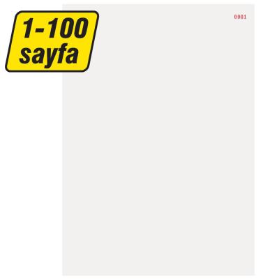 Numaralı Kağıt A4 001-100 Sıralamalı 80 gr Dikey 1 Paket