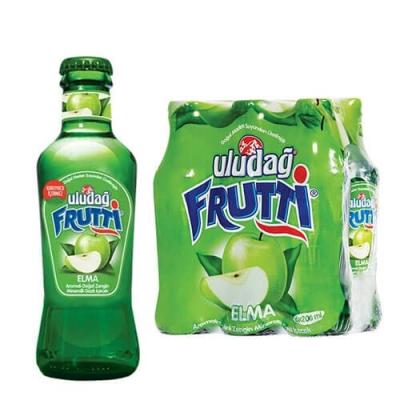 Uludağ Frutti Elmalı Maden Suyu 200 Ml 24 Lü